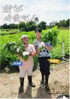 电波与薄荷糖 榜单第五位缩略图